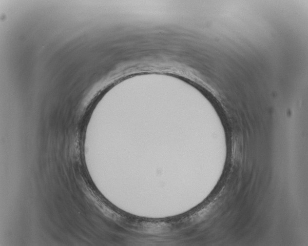 X0000080671498200612301347