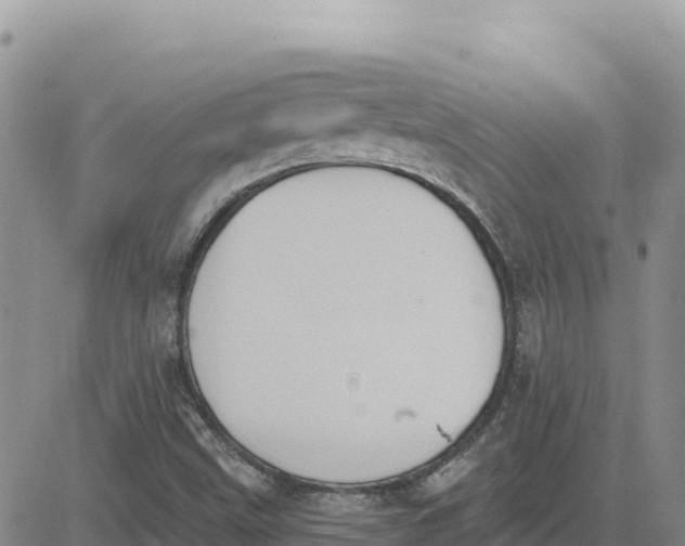 X0000080671499200612301347