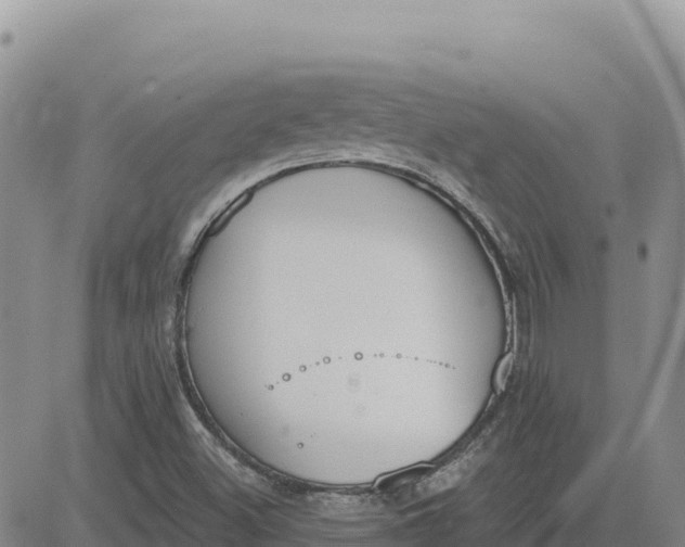 X0000080671500200612301347