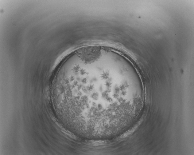 X0000080671501200612301347