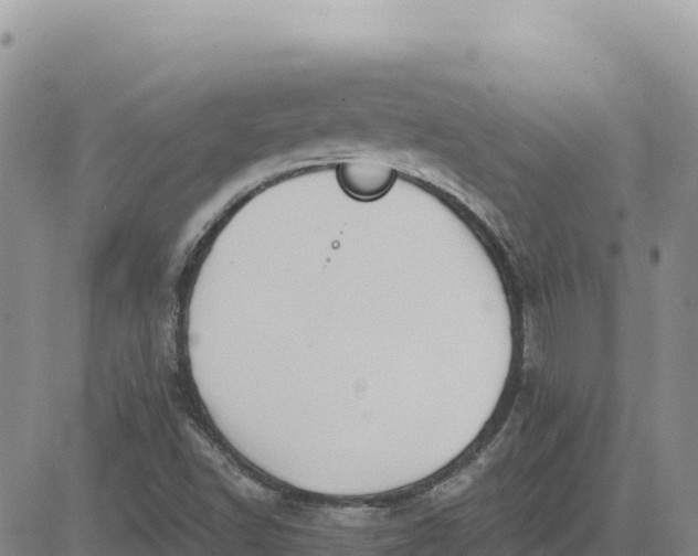 X0000080671502200612301347