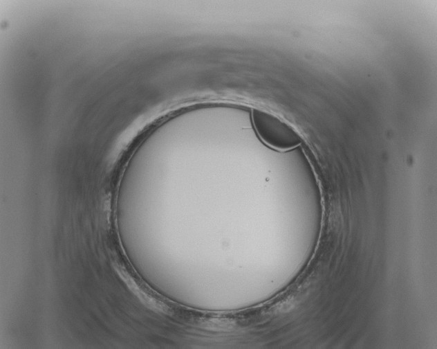 X0000080671503200612301347