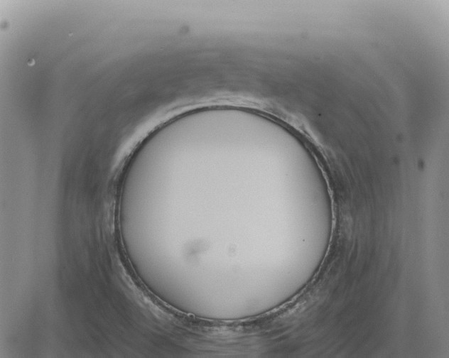 X0000080671504200612301347