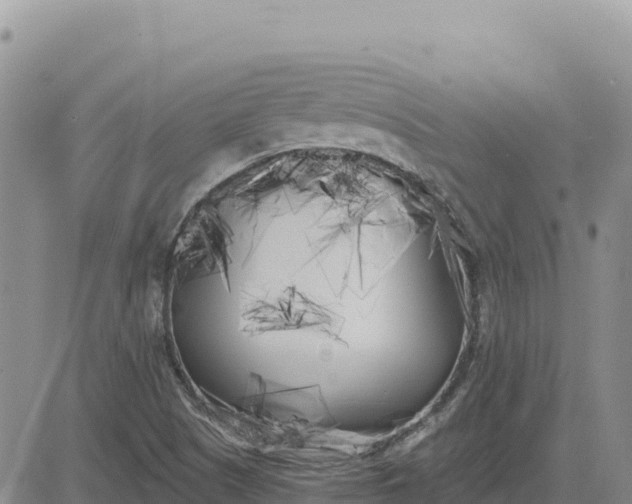 X0000080671505200612301347