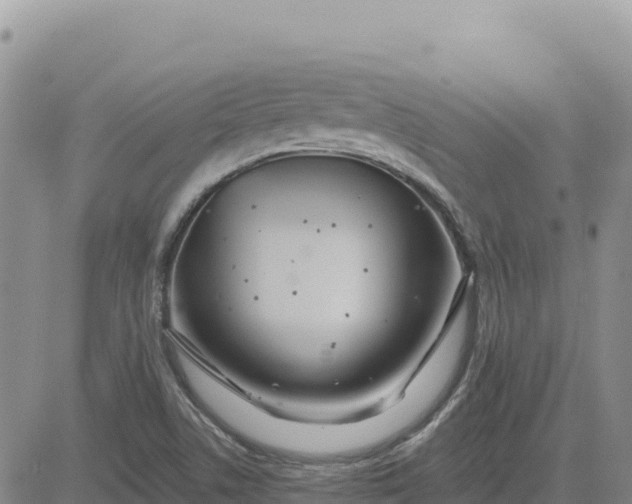 X0000080671506200612301347