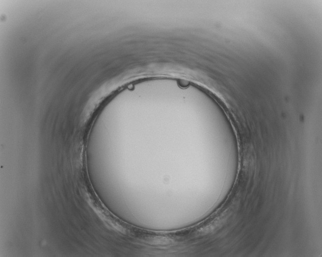 X0000080671507200612301347