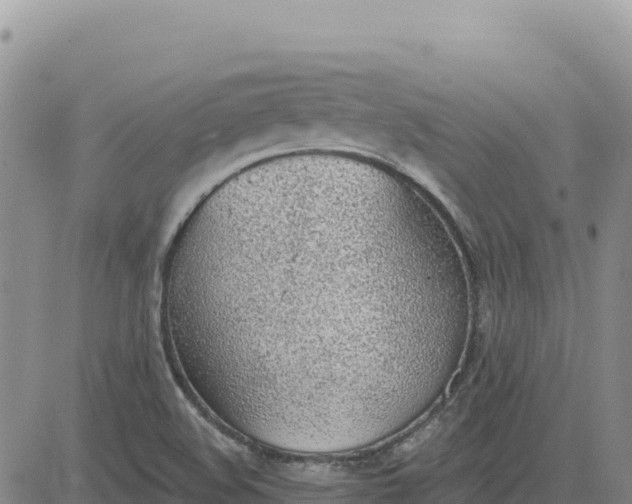 X0000080671508200612301347