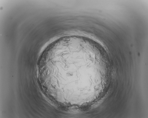 X0000080671509200612301347