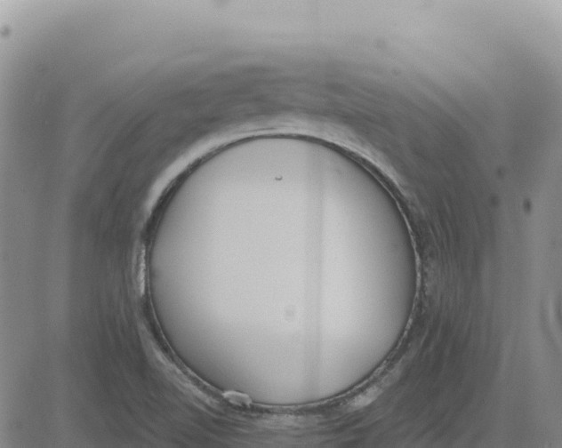 X0000080671510200612301347