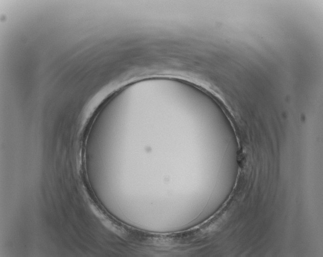 X0000080671511200612301347