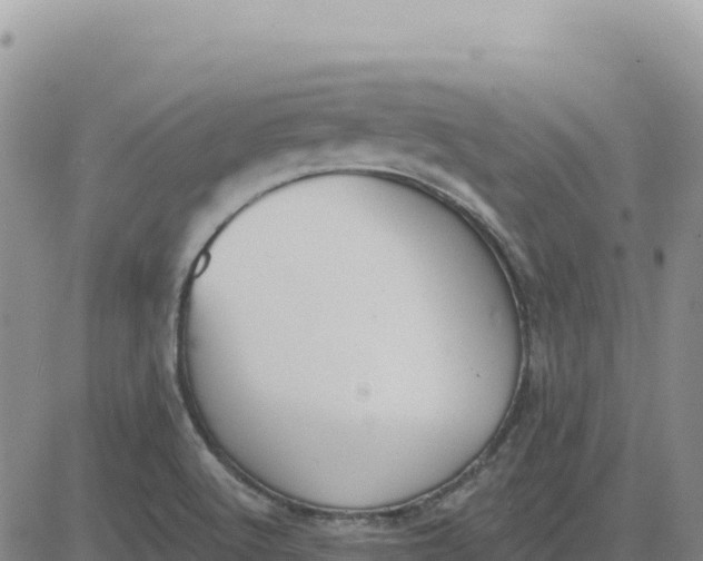 X0000080671512200612301347