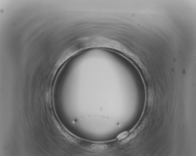 X0000080671513200612301347