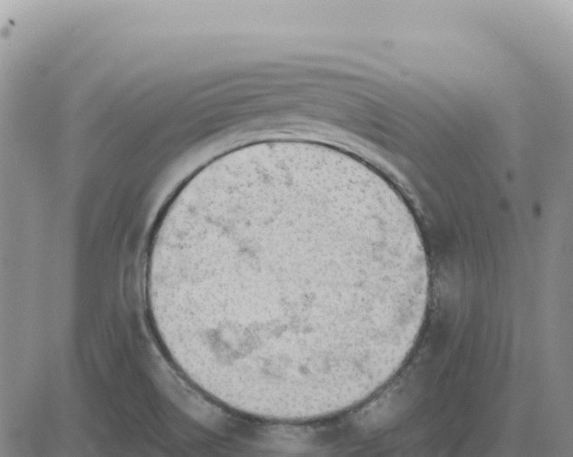 X0000080671514200612301347