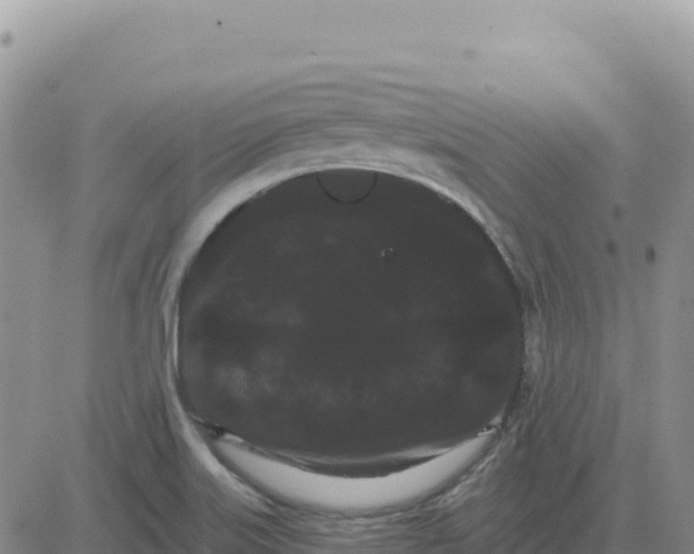 X0000080671515200612301347