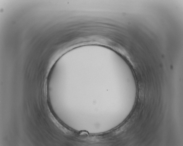 X0000080671516200612301347