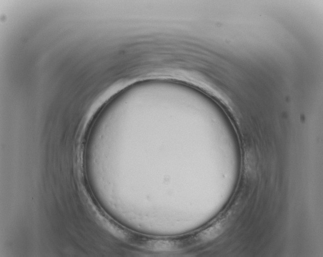 X0000080671517200612301347