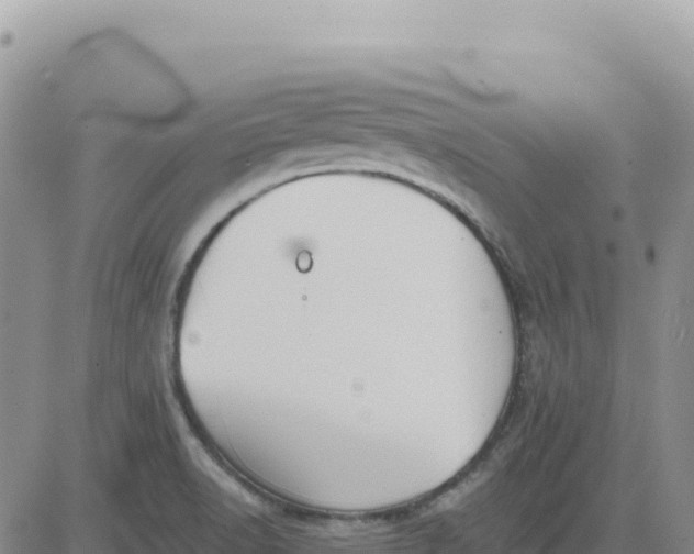 X0000080671518200612301347