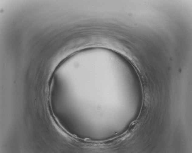 X0000080671519200612301347