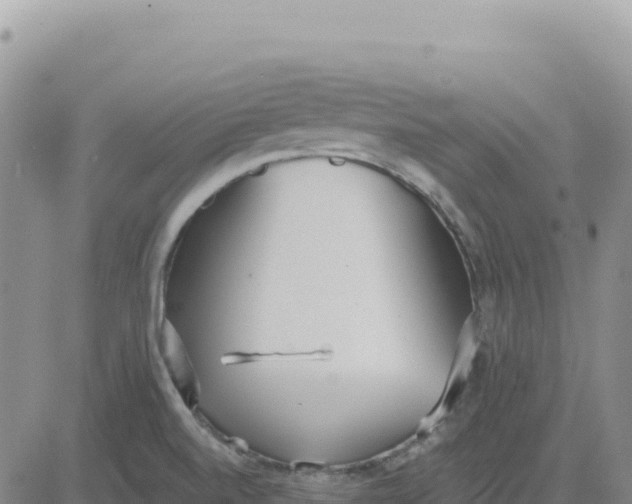 X0000080671520200612301347