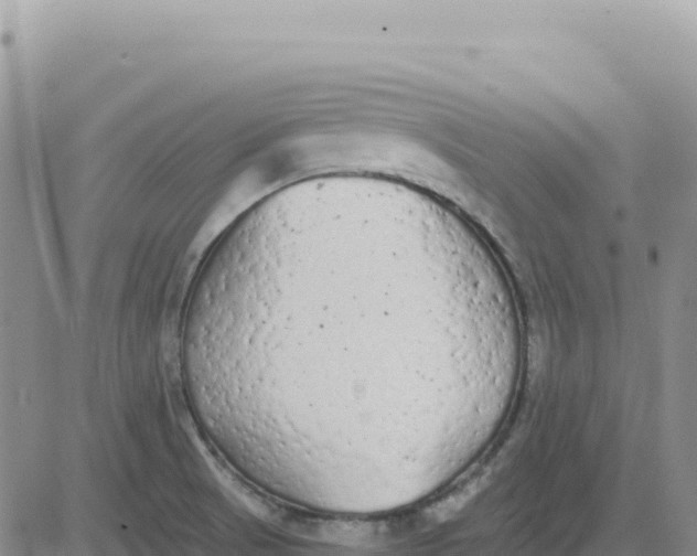 X0000080671521200612301347