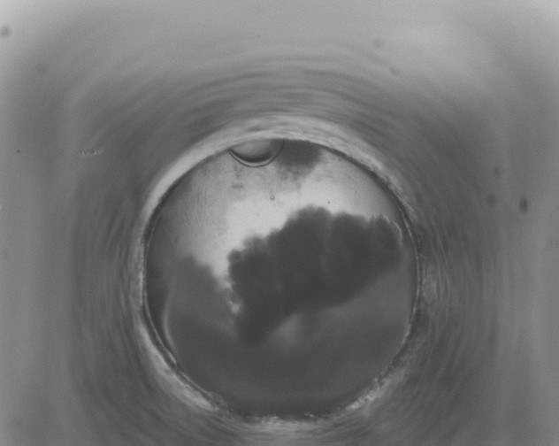 X0000080671522200612301347