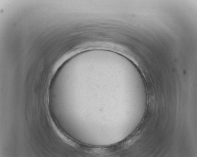 X0000080671523200612301347