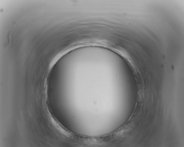 X0000080671524200612301347