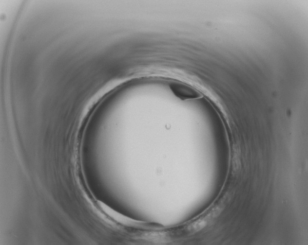 X0000080671525200612301347