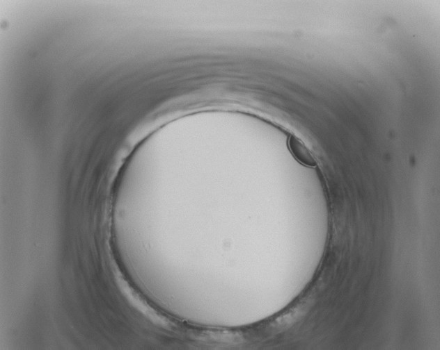 X0000080671526200612301347