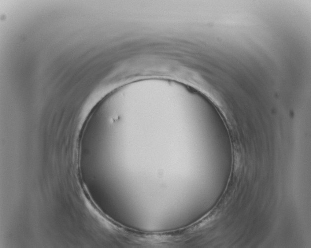 X0000080671527200612301347