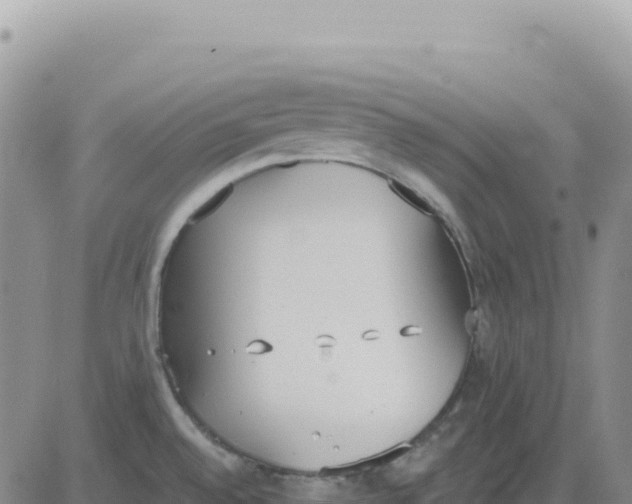 X0000080671528200612301347