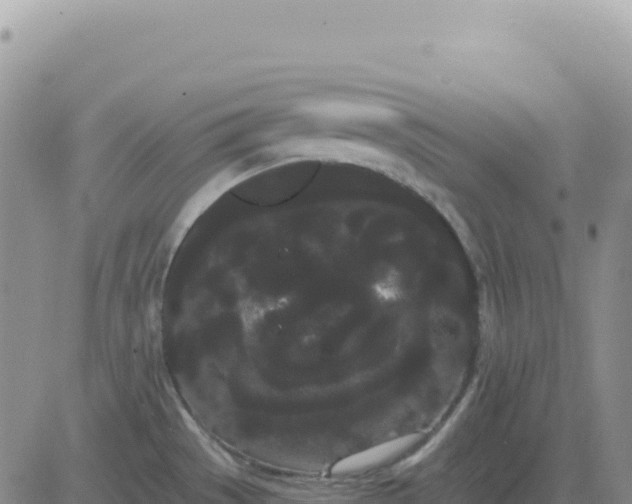 X0000080671529200612301347