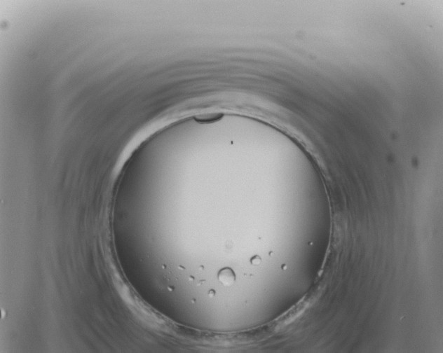 X0000080671530200612301347