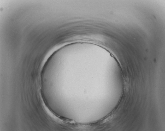 X0000080671531200612301347