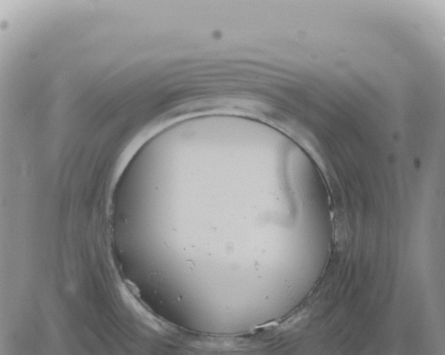 X0000080671532200612301347