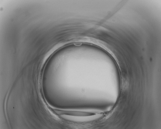 X0000080671533200612301347