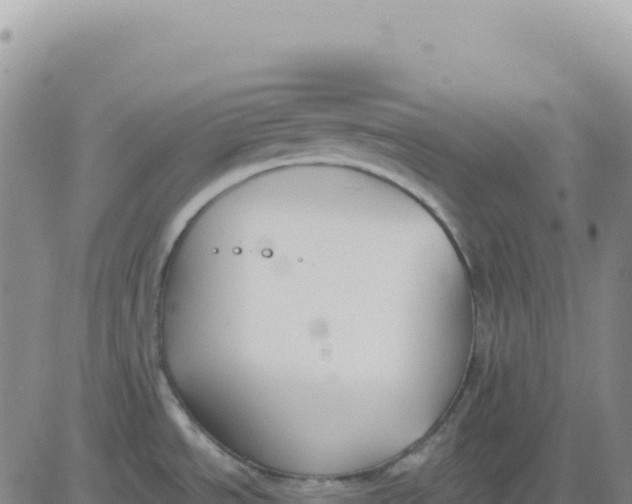 X0000080671534200612301347