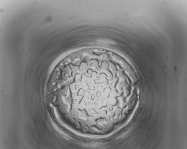 X0000080671535200612301347