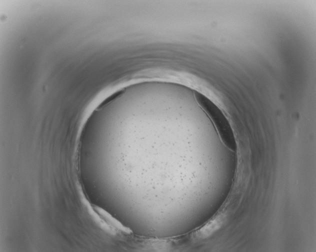 X0000080671536200612301347