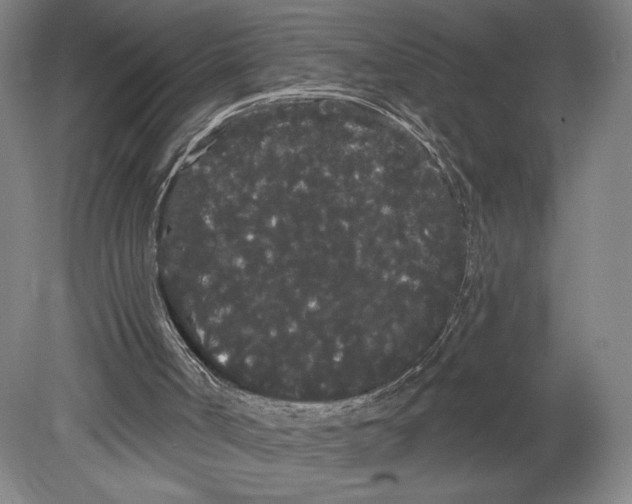 X0000080670002200701051020