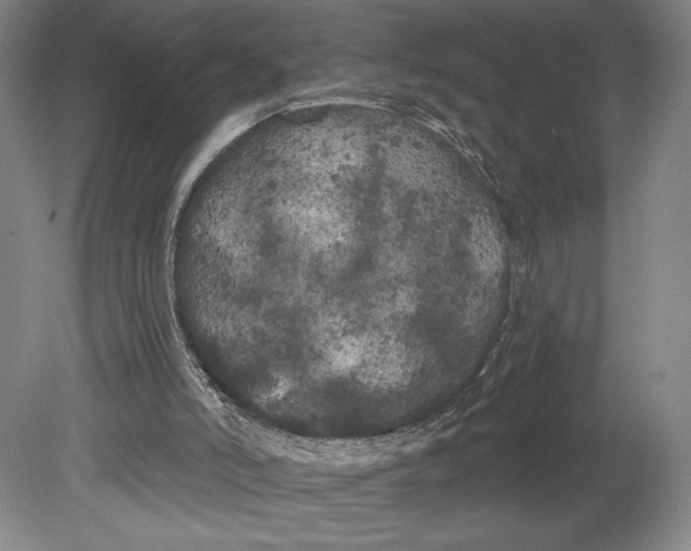 X0000080670006200701051020