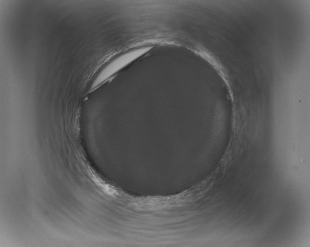 X0000080670009200701051020