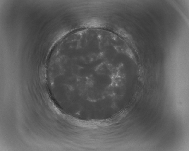 X0000080670012200701051020