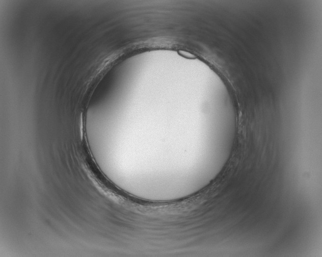 X0000080670013200701051020