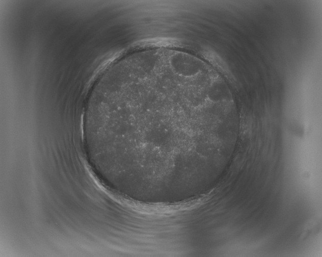 X0000080670014200701051020