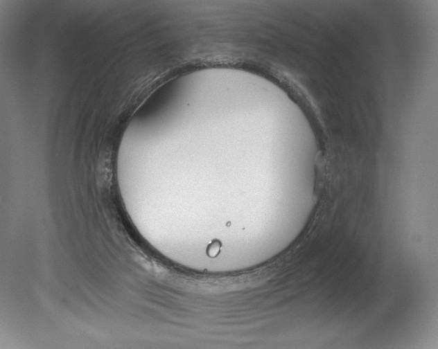 X0000080670017200701051020