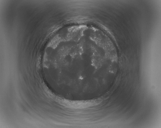 X0000080670018200701051020