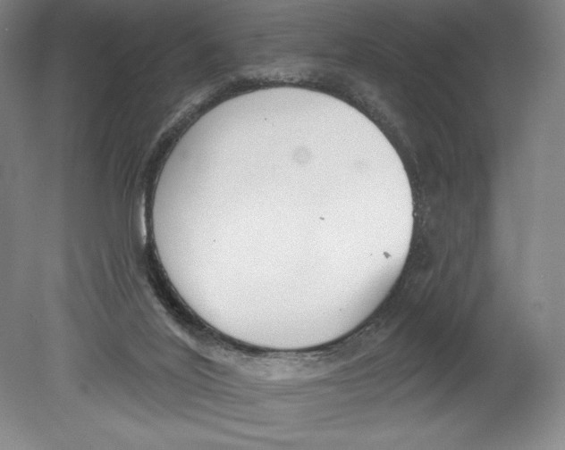 X0000080670020200701051020