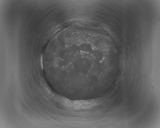 X0000080670022200701051020