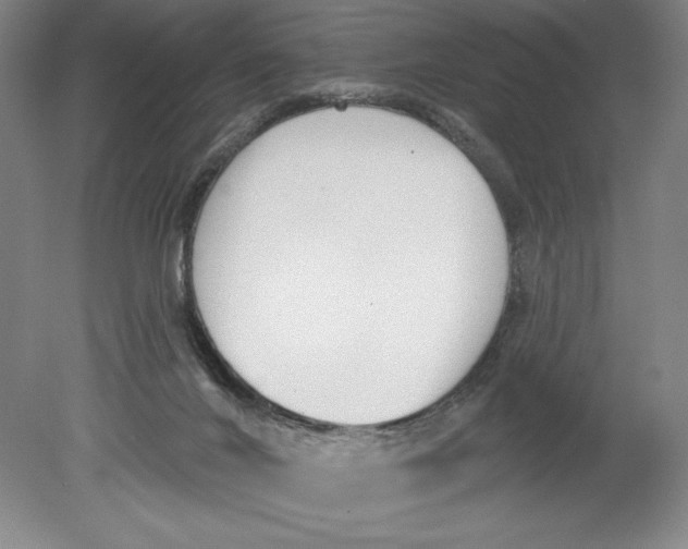 X0000080670024200701051020